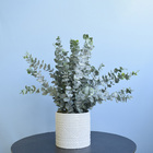 Arranjo De Eucaliptos Artificiais No Vaso De Cerâmica | Formo